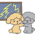 犬が雷で怯えたり息切れした時のケア方法 　怖がる愛犬を安心させる秘訣