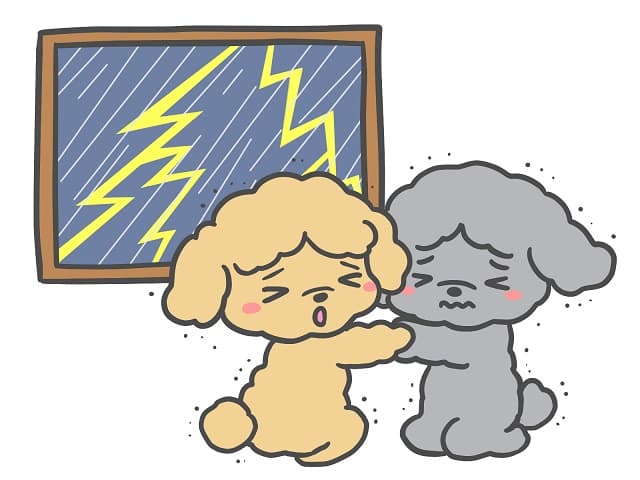 犬が雷で怯えたり息切れした時のケア方法 　怖がる愛犬を安心させる秘訣