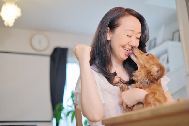 愛犬があなたの顔を舐めてくれない！本当の理由と解決法は？