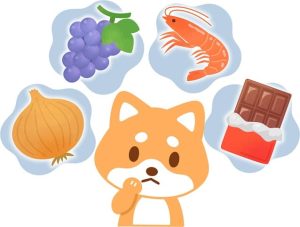 犬に与えてはいけない危険な食べ物と注意すべきポイント
