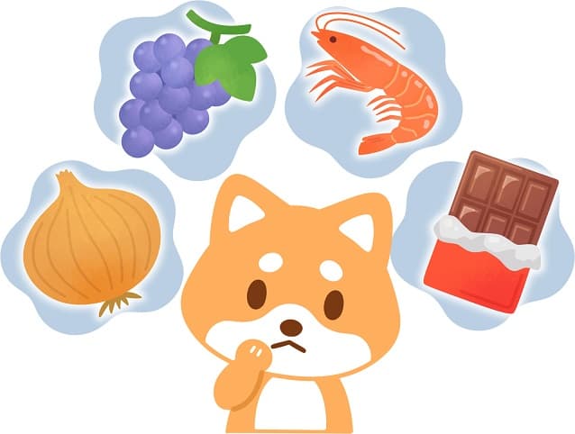 犬に与えてはいけない危険な食べ物と注意すべきポイント